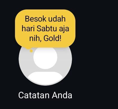 Catatan Instagram berubah menjadi warna emas (dok.pribadi/Reyvan Maulid)