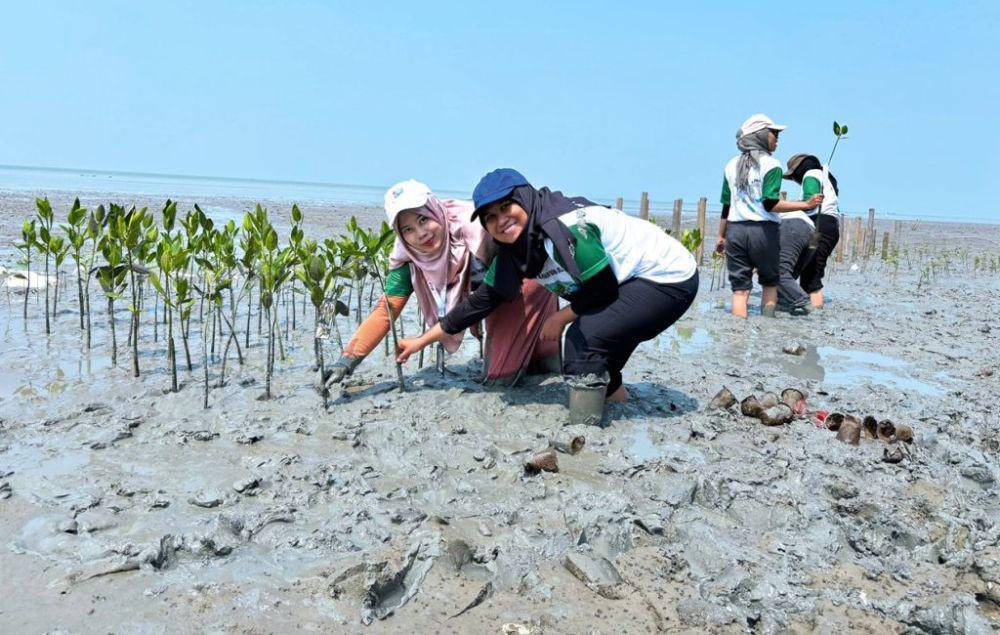Inovasi Tim ITERA, Pelindung Pantai Natural Solusi Banjir dan Erosi