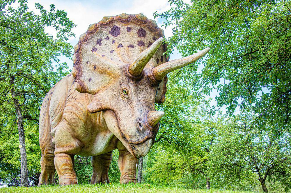 5 Fakta Unik Triceratops, si Dinosaurus Bertanduk dan Bercula