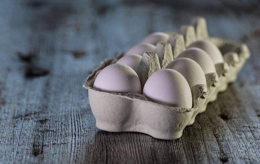 ilustrasi telur ayam (pixabay.com/Monika)