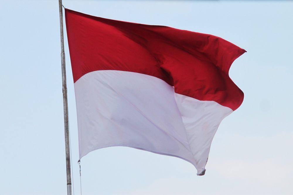 Ilustrasi bendera merah putih berkibar (pixabay.com/mufidpwt)