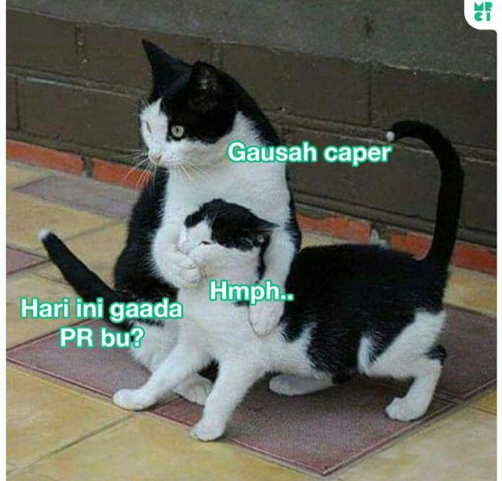 meme caper (instagram.com/mrci.id)