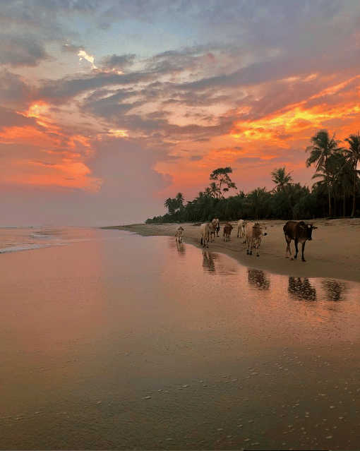 Potret Pantai Mandiri (Instagram/pantaimandiri