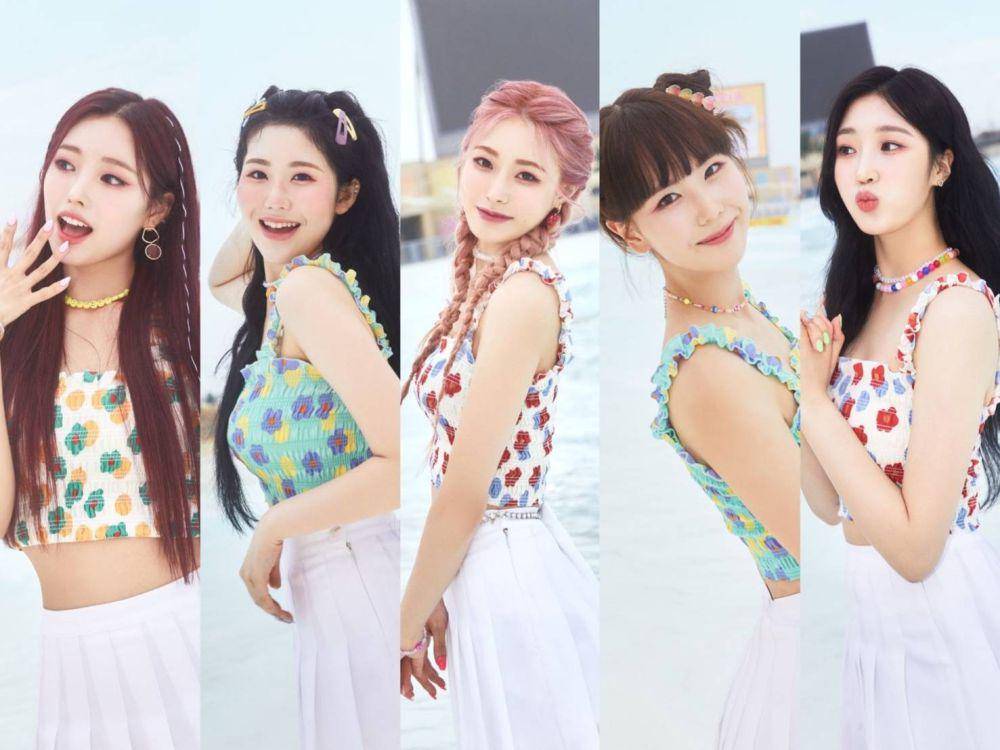 member Hi-L (twitter.com/KoreafesNagoya)