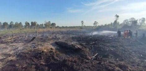 Pria di Banyuasin Tertangkap Setelah Bakar Lahan untuk Tanam Sawit (Dok. IDN Times)