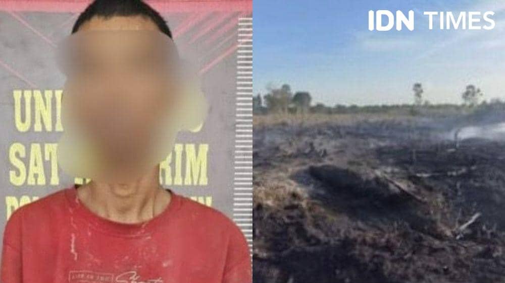 Pria di Banyuasin Ditangkap, Bakar Lahan 2 Hektare untuk Tanam Sawit