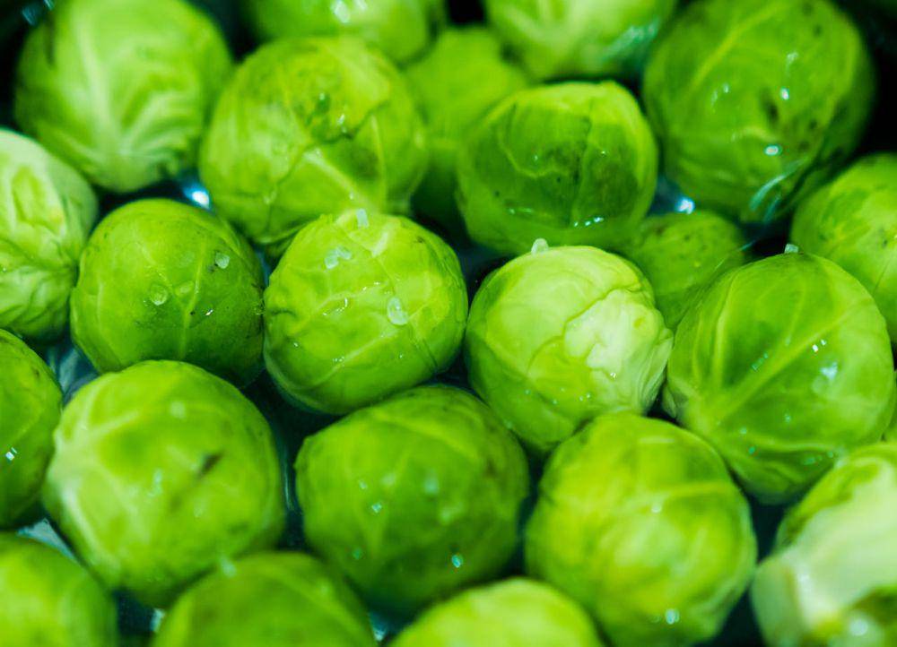 ilustrasi Brussels sprouts (pexels.com/Adrian Frentescu)