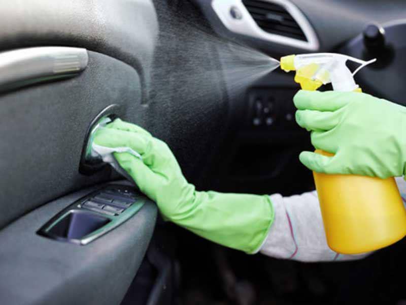 membersihkan bulu anabul dalam mobil (carro.id)