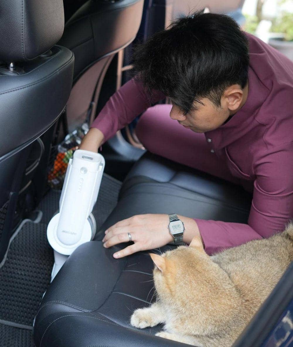 membersihkan bulu kucing (instagram.com/johanandhiscats)