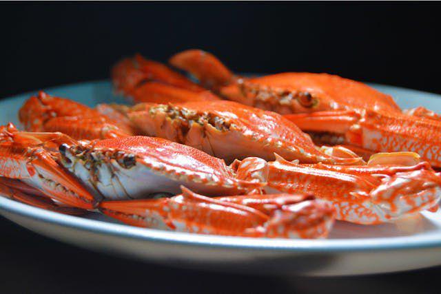 Ilustrasi seafood kepiting. https://www.pexels.com/id-id/@jaradahfish/