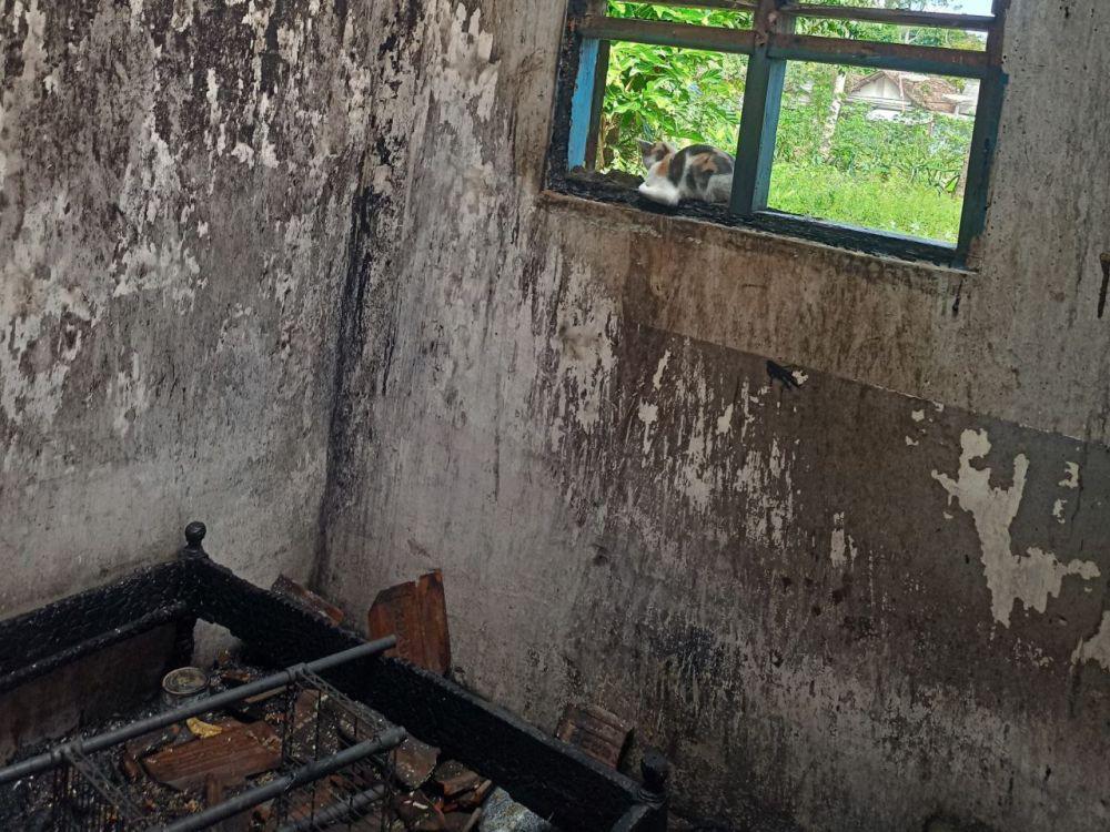 Kebakaran di Desa Jambewangi, Sempu, Banyuwangi. (Istimewa)