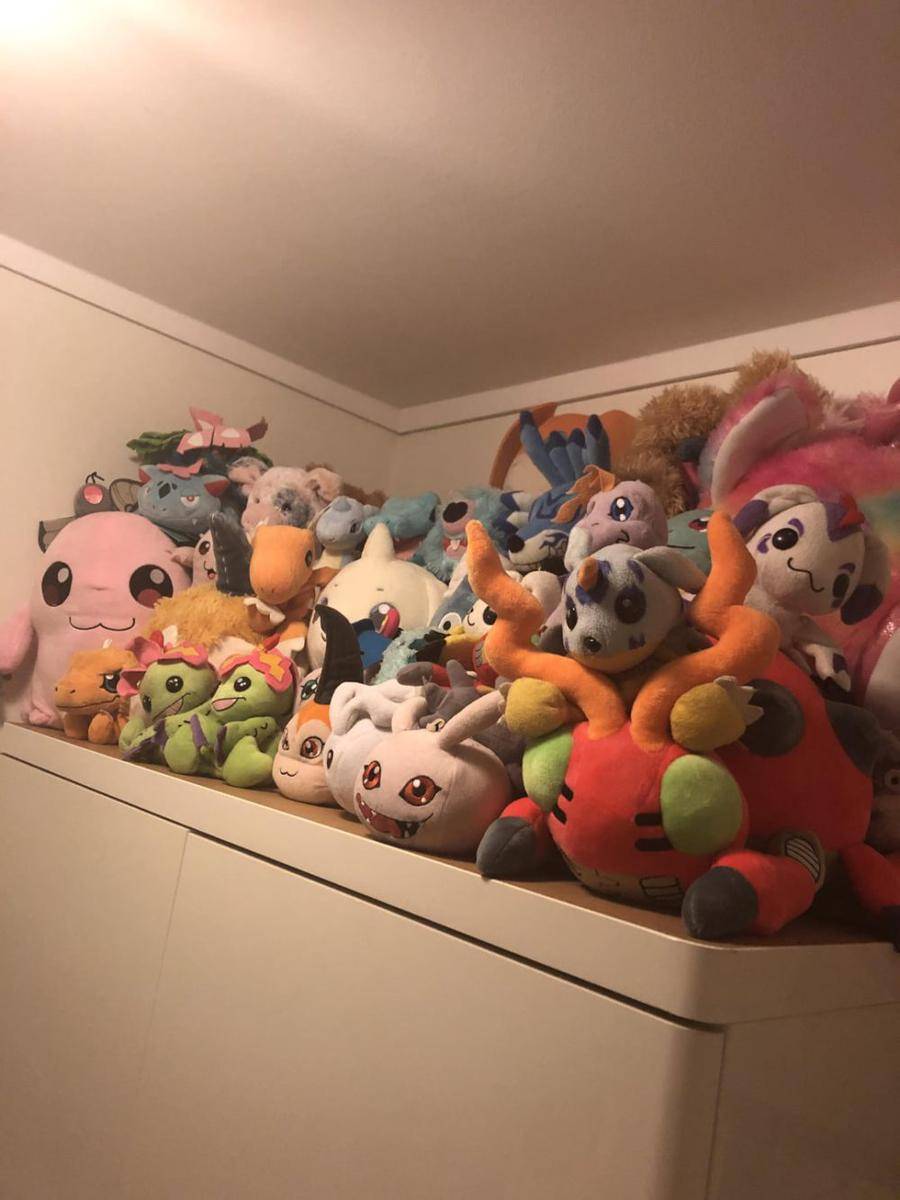 potret koleksi boneka Digimon (reddit.com/user/Kirabani)