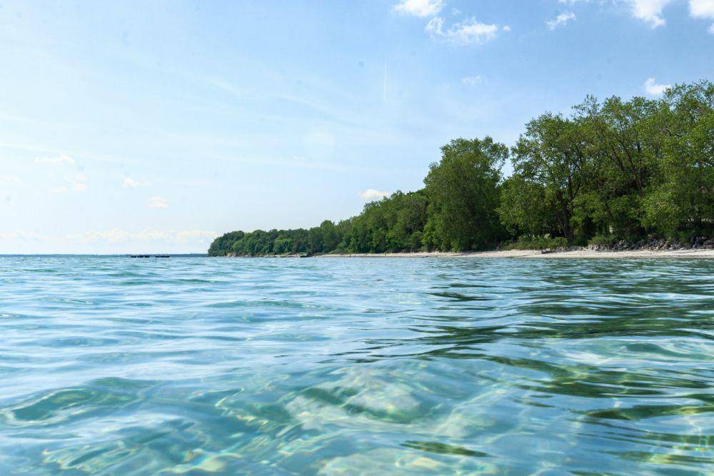 Ilustrasi pantai cantik (unsplash.com/max_thehuman)