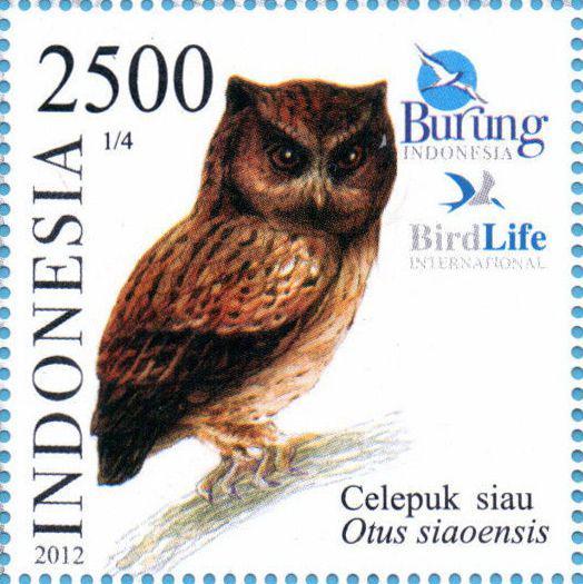 ilustrasi celepuk siau (commons.wikimedia.org/ public domain)