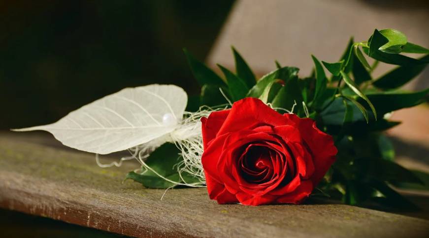 Bunga Mawar Merah (Pexels.com/Pixabay)