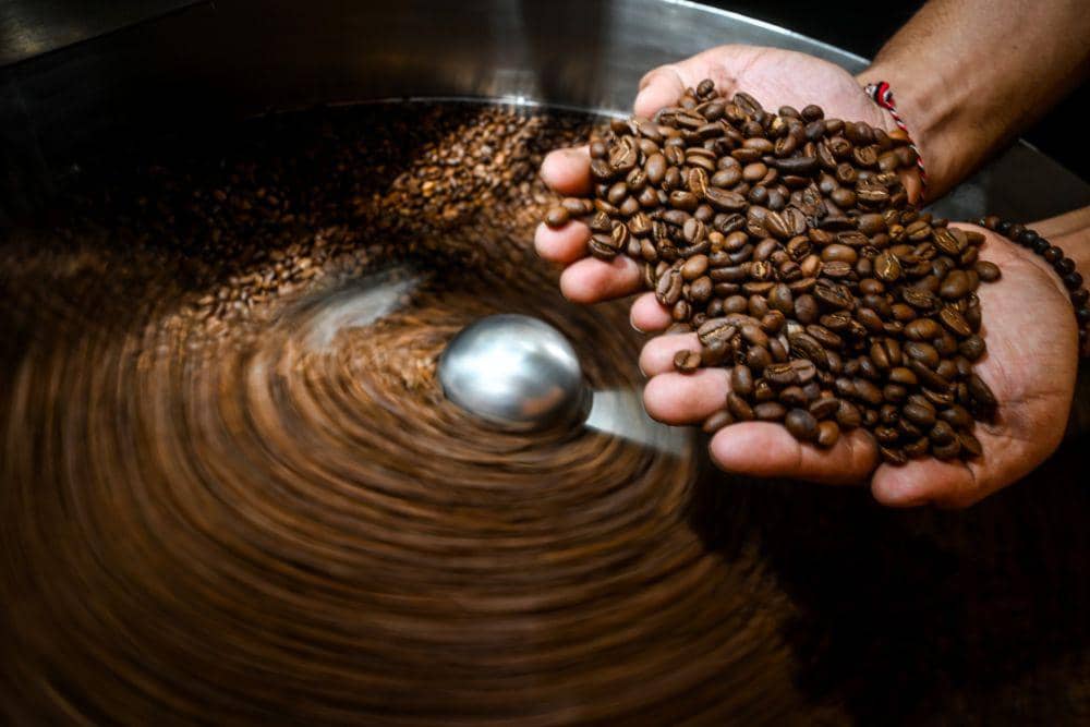 Ilustrasi produksi biji kopi di tanah air (ANTARA FOTO/Rivan Awal Lingga)