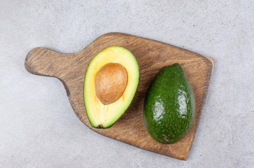 ilustrasi buah alpukat