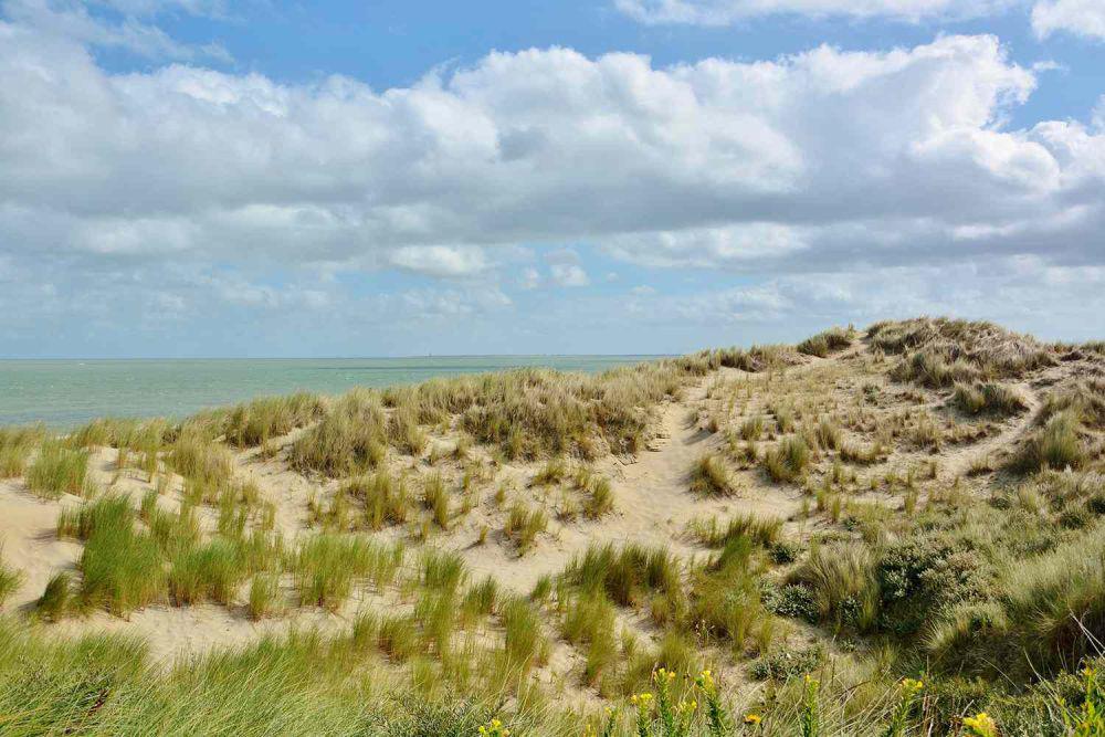 Pantai zeeland, Belanda (travelandleisure.com)