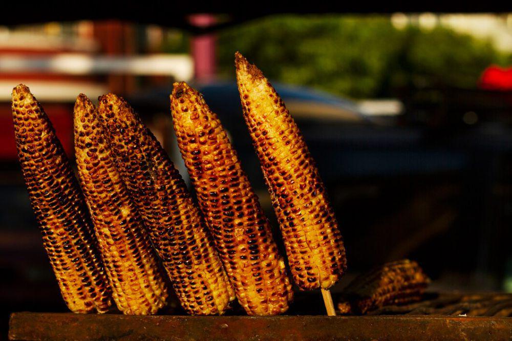 ilustrasi jagung bakar (freepik.com/freepik)