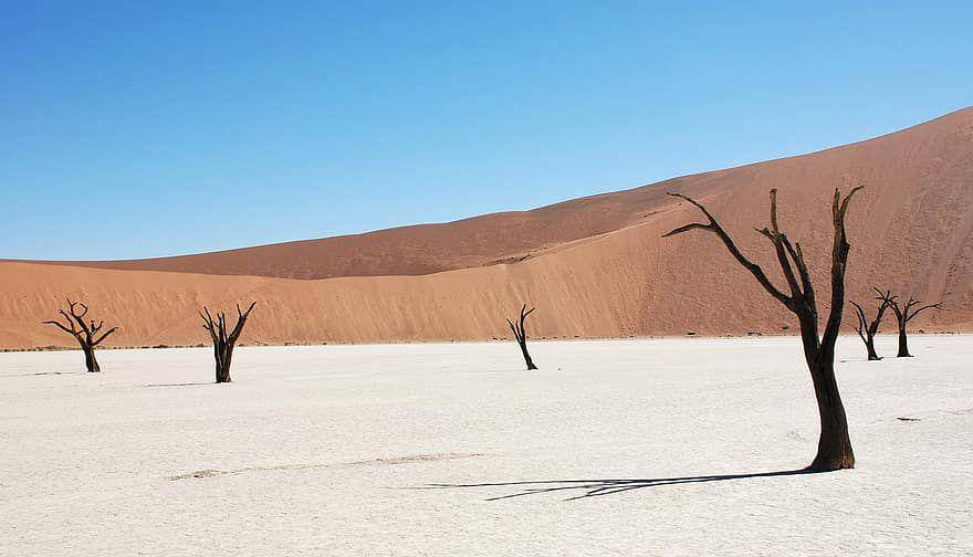 Gurun Namib (www.pikist.com)