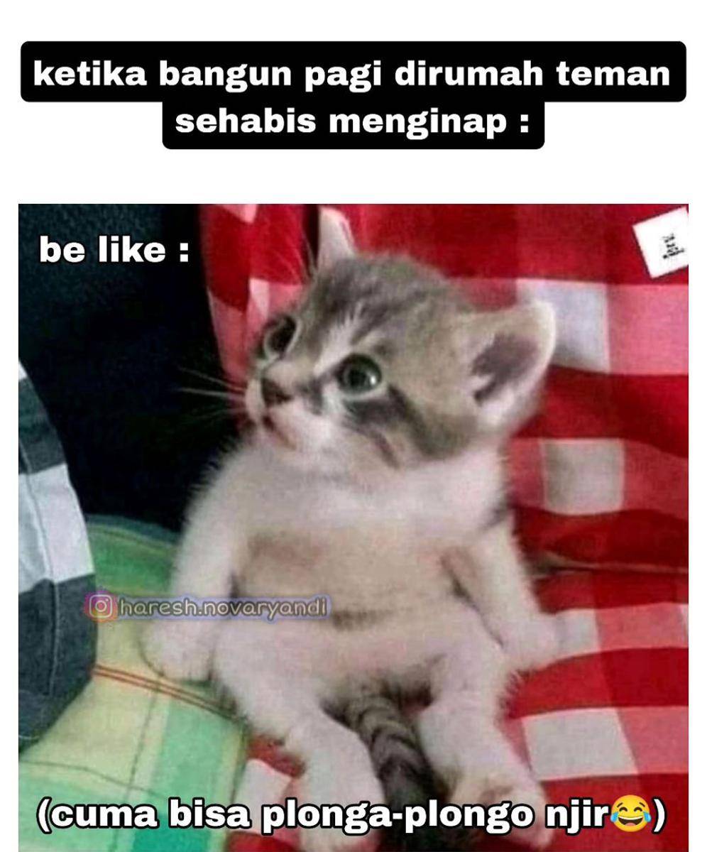 meme menginap di rumah teman (instagram.com/haresh.novaryandi)