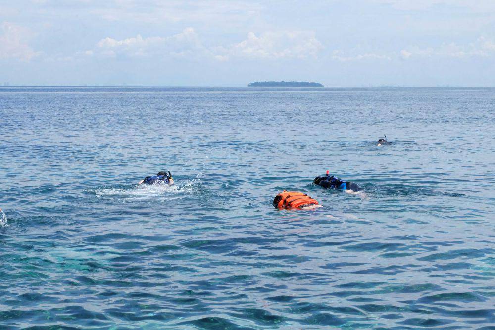 Ilustrasi snorkeling bersama teman-teman (unsplash.com/James Tiono)
