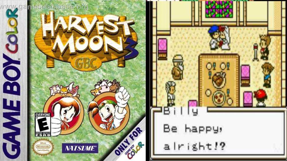 Harvest Moon 3 GBC (dok. Natsume Inc./Harvest Moon 3 GBC)