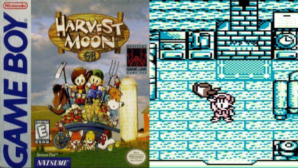 Harvest Moon GB (dok. Natsume Inc./Harvest Moon GB)