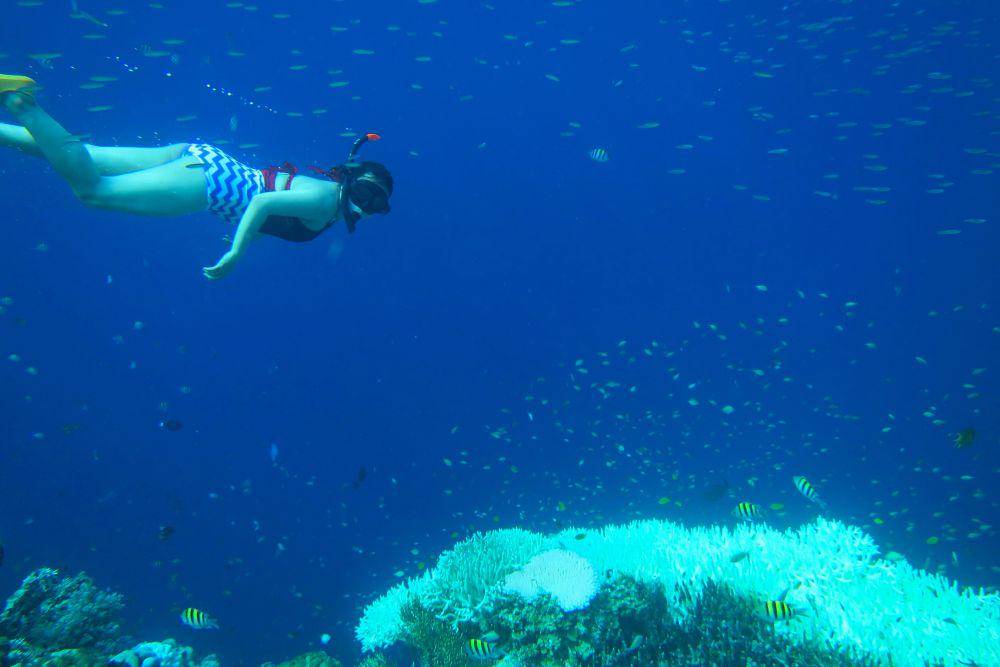 Snorkeling di Pulau Menjangan (dok.pribadi/Natalia Indah)