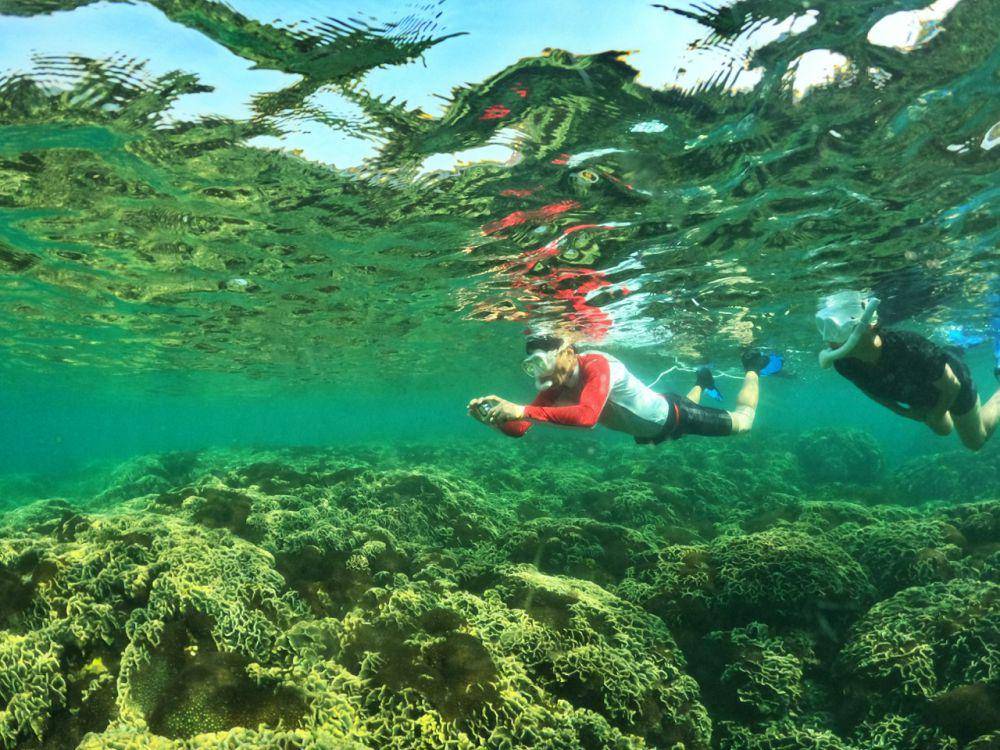 Ilustrasi snorkeling sambil menjaga lingkungan laut (unsplash.com/OnBird Phu Quoc)
