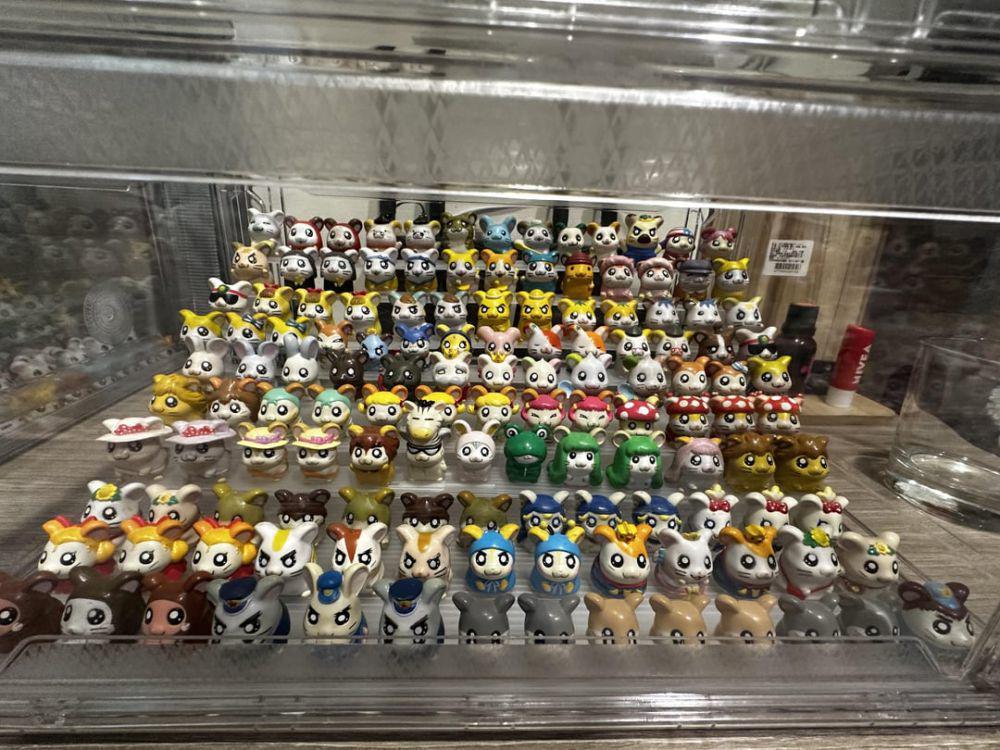 8 Potret Koleksi Hamtaro, Lucu dan Menggemaskan Semua!
