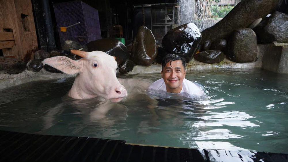 Irfan Hakim berenang bareng kerbau bule (instagram.com/irfanhakim75)