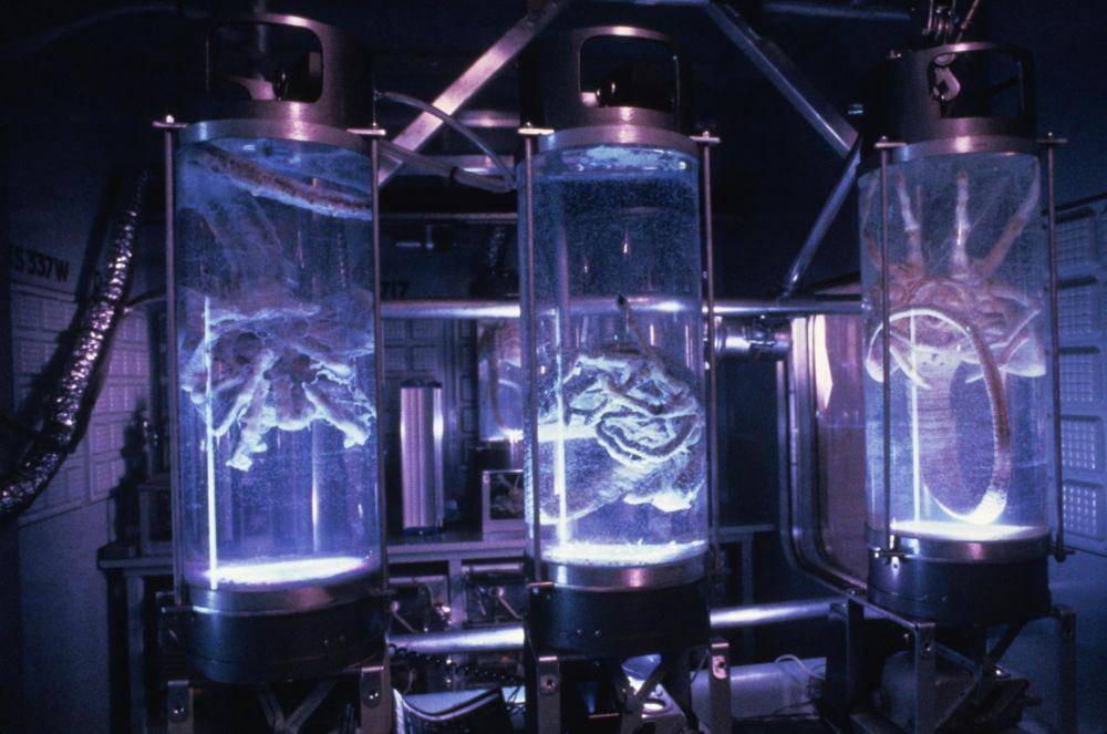urutan nonton film Alien (dok. 20th Century Studios/Aliens)