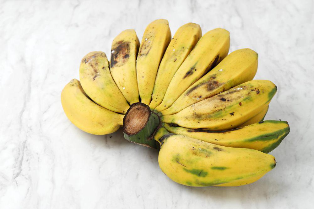 ilustrasi pisang kepok (vecteezy.com/ikarahma)