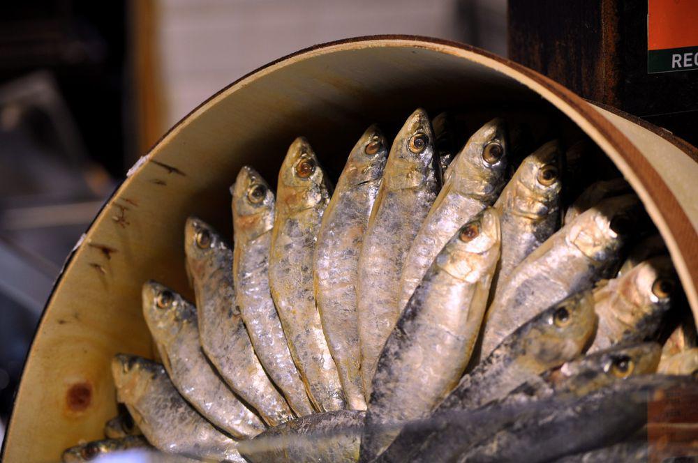 ilustrasi ikan asin (pixabay.com/elcodigodebarras)