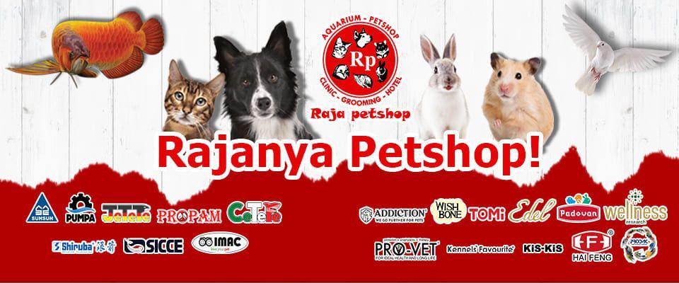 Raja Petshop (rajapetshop.com)