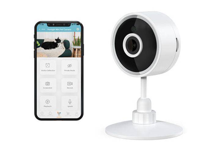 INSTACHEW Purrsight 360 Degree (instachew.com)