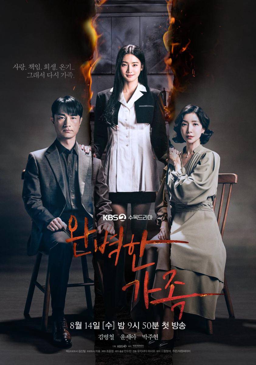 poster drama Perfect Family (dok. KBS2/Perfect Family)