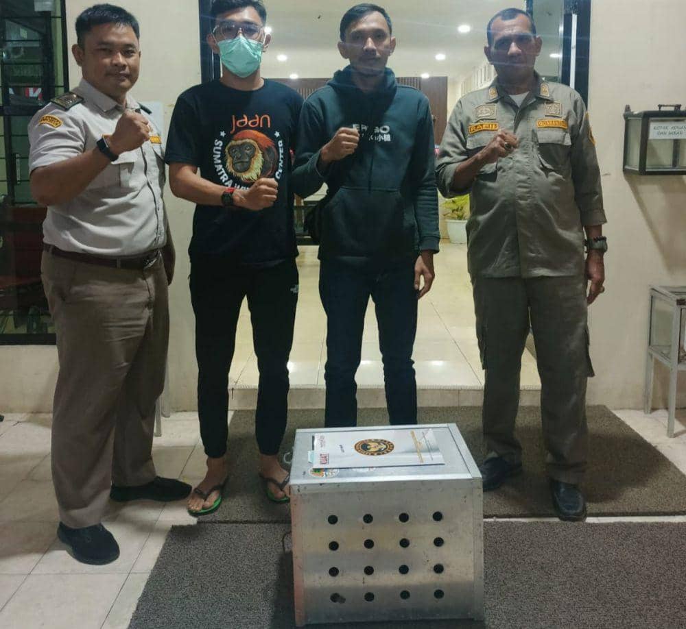 Proses penyitaan kukang dari atas kapal tongkang di Pelabuhan BBJ. (DOK. Karantina Lampung).