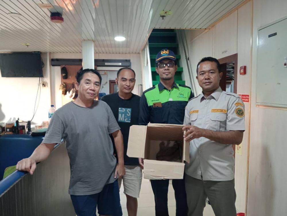 Hendak Diselundupkan, Seekor Kukang Disita dari Kapal Tongkang Lampung