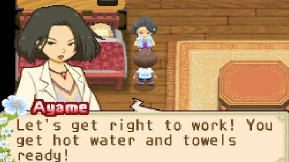 Ayame (dok. Natsume Inc/Harvest Moon: The Tale of Two Towns)