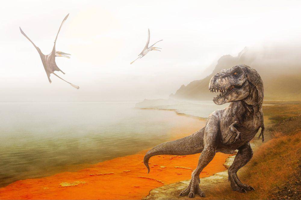 ilustrasi dinosaurus (pixabay.com/Mollyroselee)