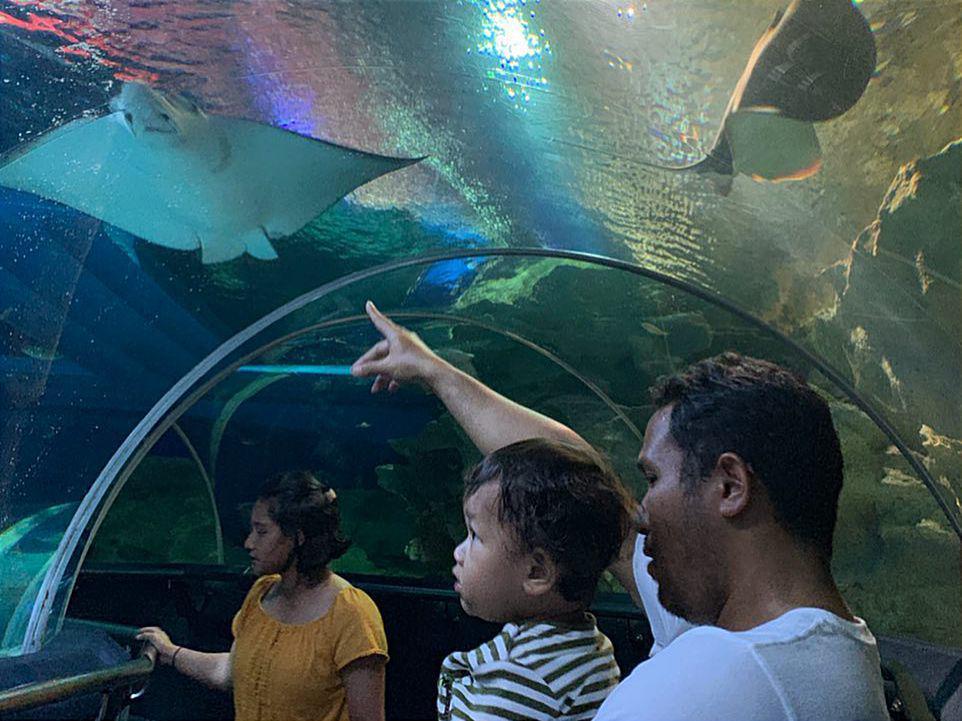 Aquaria KLCC Malaysia: Lokasi, HTM, dan Tips Berwisata