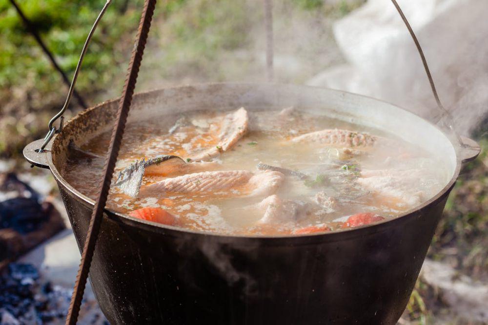 ilustrasi memasak sup ikan (pixabay.com/Julia Filirovska)