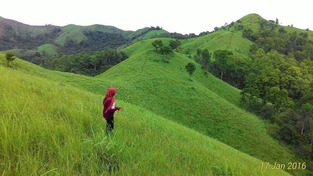 Bukit Telang, Kabupaten Tanah Laut (instagram.com/leny_eriani)
