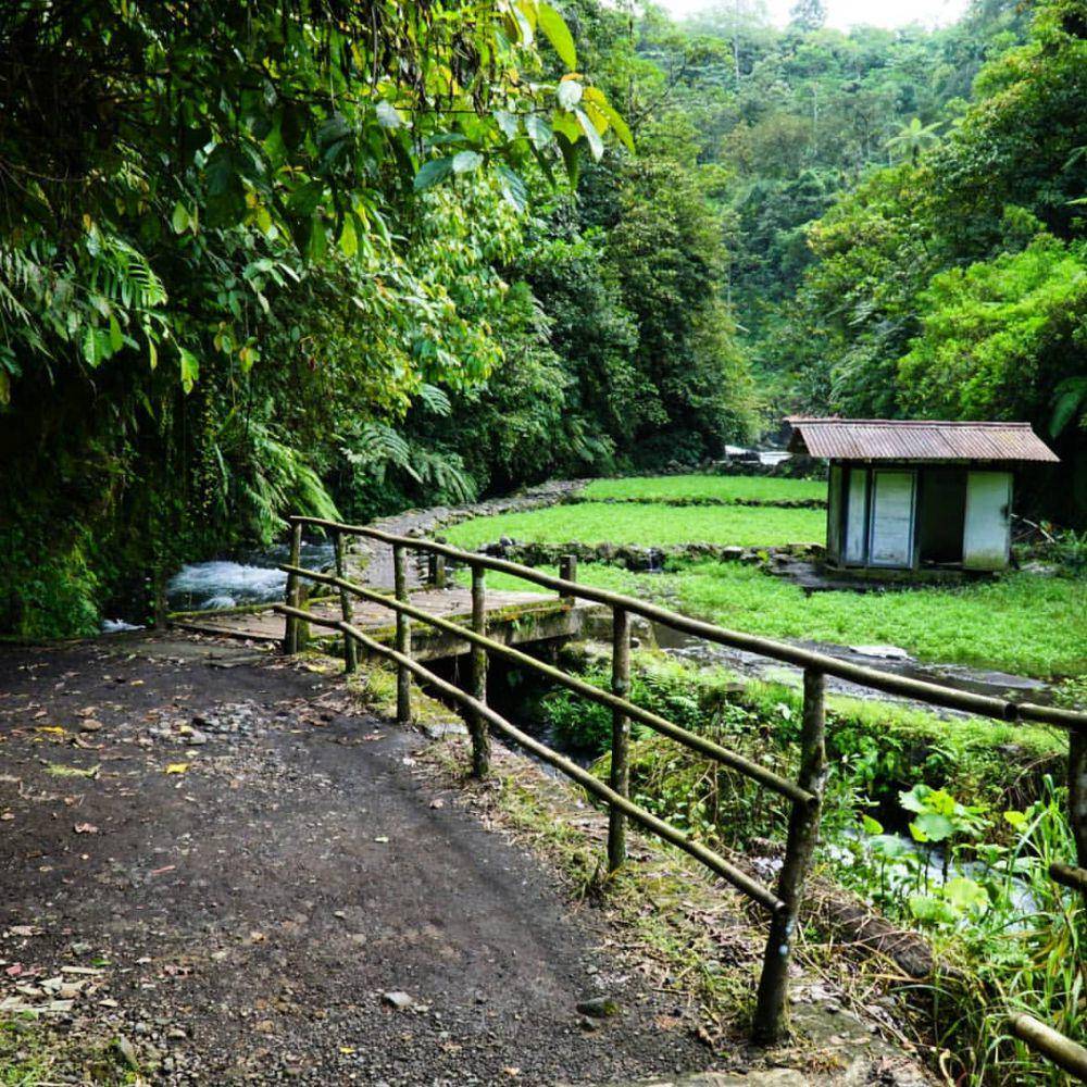 jalur trekking untuk menuju spot Air Terjun Telunjuk Raung (instagram.com/ijencooltour)