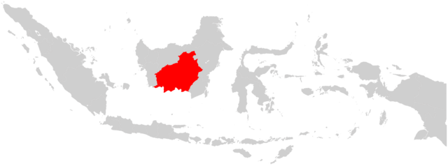 Posisi kota Palangkaraya, Kalimantan Tengah (commons.wikimedia.org/FelixJL111)