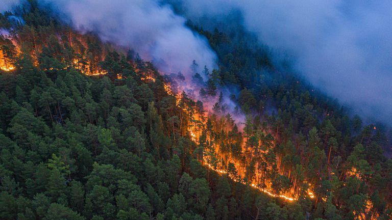 5 Kebakaran Hutan Terbesar dalam Sejarah, Jutaan Hektar Lahan Terbakar