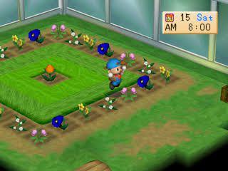 rumah kaca di Back to Nature (dok. Marvelous/Harvest Moon: Back to Nature)
