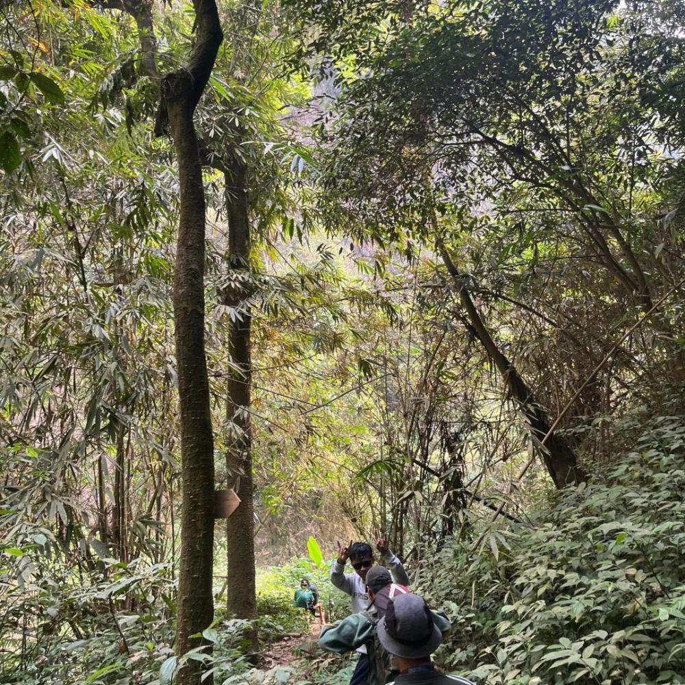 suasana jalur trekking menuju Coban Srikandi (instagram.com/ekaputraardyansah)